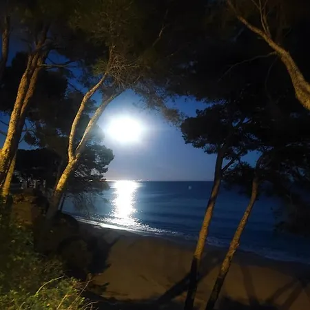 Espectacular Con Privado Miami Playa